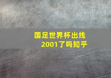 国足世界杯出线2001了吗知乎