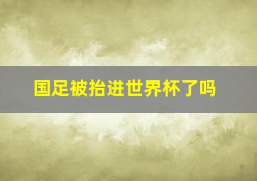 国足被抬进世界杯了吗