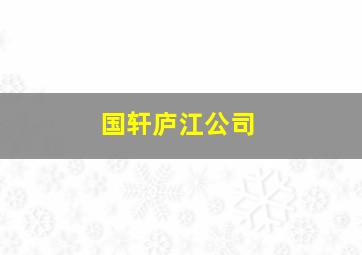 国轩庐江公司