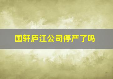 国轩庐江公司停产了吗