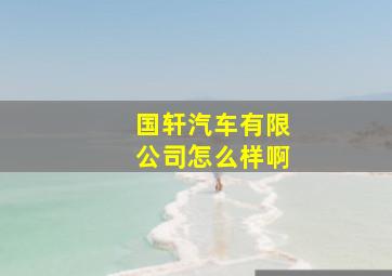 国轩汽车有限公司怎么样啊