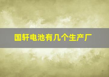 国轩电池有几个生产厂