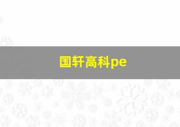 国轩高科pe