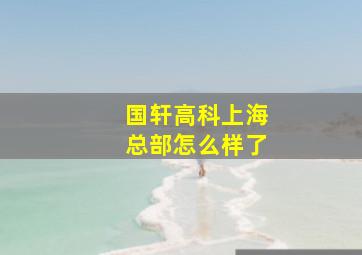 国轩高科上海总部怎么样了