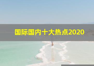 国际国内十大热点2020