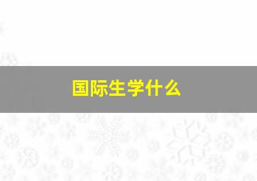 国际生学什么