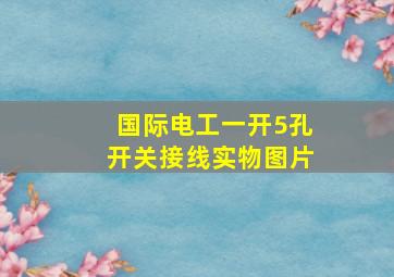 国际电工一开5孔开关接线实物图片