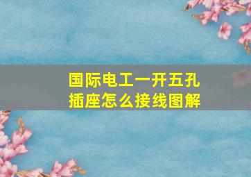 国际电工一开五孔插座怎么接线图解