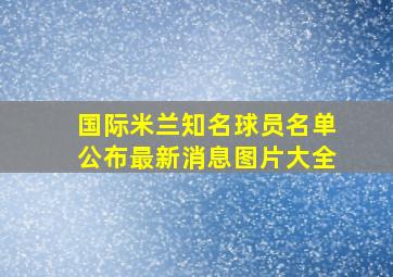 国际米兰知名球员名单公布最新消息图片大全