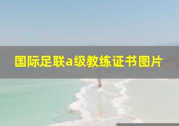 国际足联a级教练证书图片