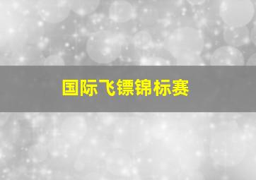 国际飞镖锦标赛