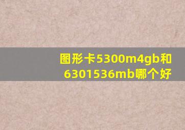 图形卡5300m4gb和6301536mb哪个好