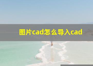 图片cad怎么导入cad