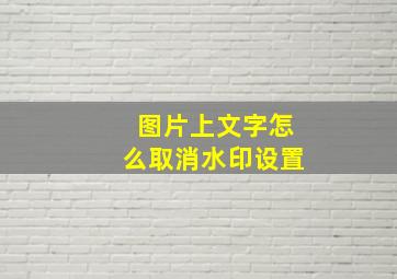 图片上文字怎么取消水印设置