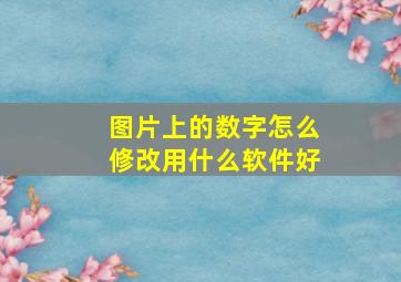 图片上的数字怎么修改用什么软件好