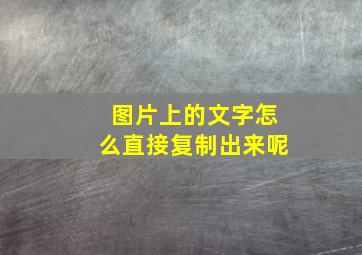 图片上的文字怎么直接复制出来呢