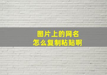 图片上的网名怎么复制粘贴啊