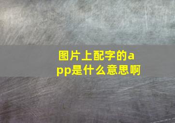 图片上配字的app是什么意思啊