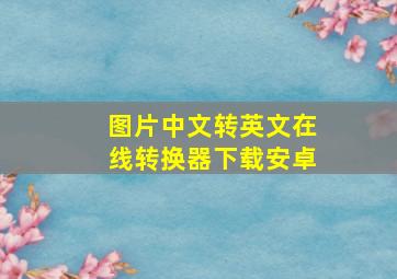 图片中文转英文在线转换器下载安卓