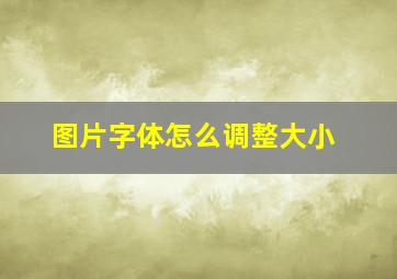 图片字体怎么调整大小