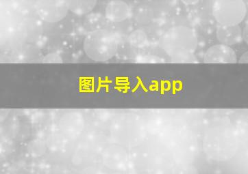 图片导入app