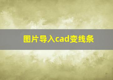 图片导入cad变线条