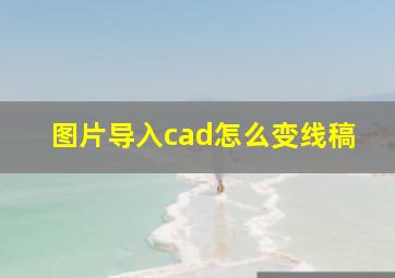 图片导入cad怎么变线稿