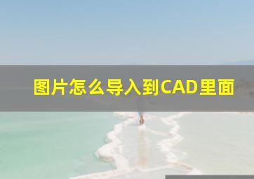 图片怎么导入到CAD里面