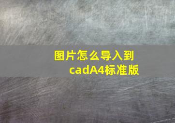 图片怎么导入到cadA4标准版