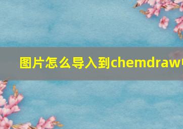 图片怎么导入到chemdraw中