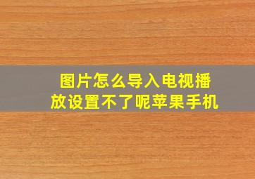 图片怎么导入电视播放设置不了呢苹果手机