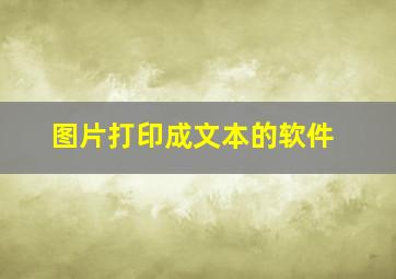 图片打印成文本的软件