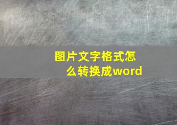 图片文字格式怎么转换成word