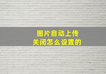 图片自动上传关闭怎么设置的