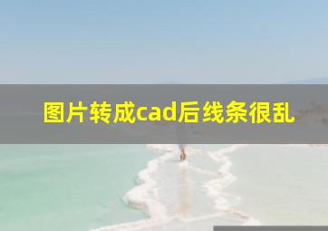 图片转成cad后线条很乱