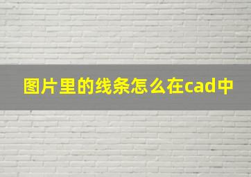 图片里的线条怎么在cad中