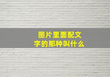 图片里面配文字的那种叫什么