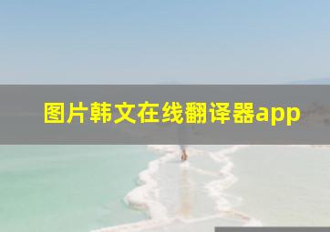 图片韩文在线翻译器app