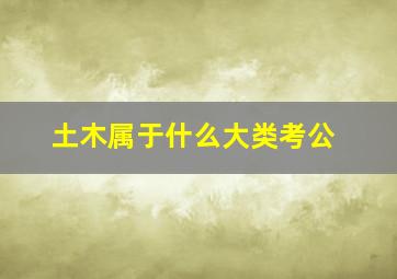 土木属于什么大类考公