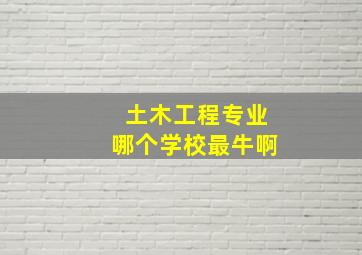 土木工程专业哪个学校最牛啊