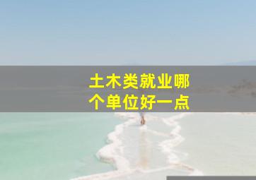 土木类就业哪个单位好一点