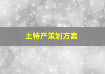 土特产策划方案