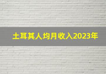 土耳其人均月收入2023年