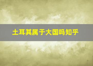 土耳其属于大国吗知乎