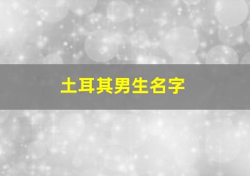 土耳其男生名字