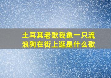 土耳其老歌我象一只流浪狗在街上逛是什么歌