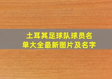 土耳其足球队球员名单大全最新图片及名字