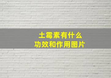 土霉素有什么功效和作用图片