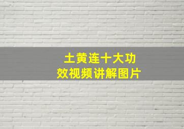 土黄连十大功效视频讲解图片