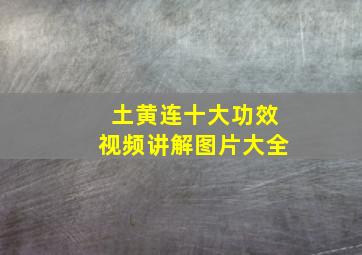 土黄连十大功效视频讲解图片大全